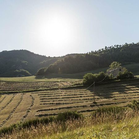 Agriturismo L'Antico Frutto Premilcuore Eksteriør billede