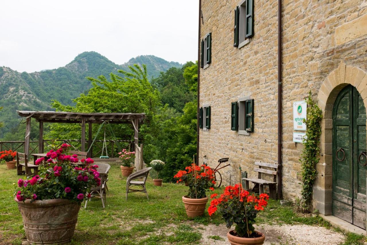 Agriturismo L'Antico Frutto Premilcuore Eksteriør billede